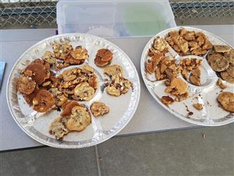plates of snacks