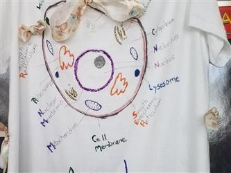 shirt with cell model