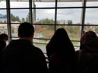 students looking out window